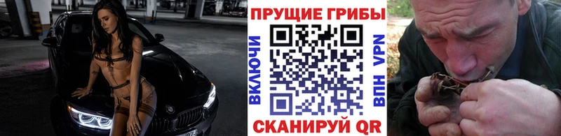 ссылка на мегу ССЫЛКА  Спасск  Галлюциногенные грибы Magic Shrooms 