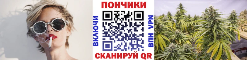 мориарти какой сайт  Спасск  Бошки марихуана Bruce Banner 
